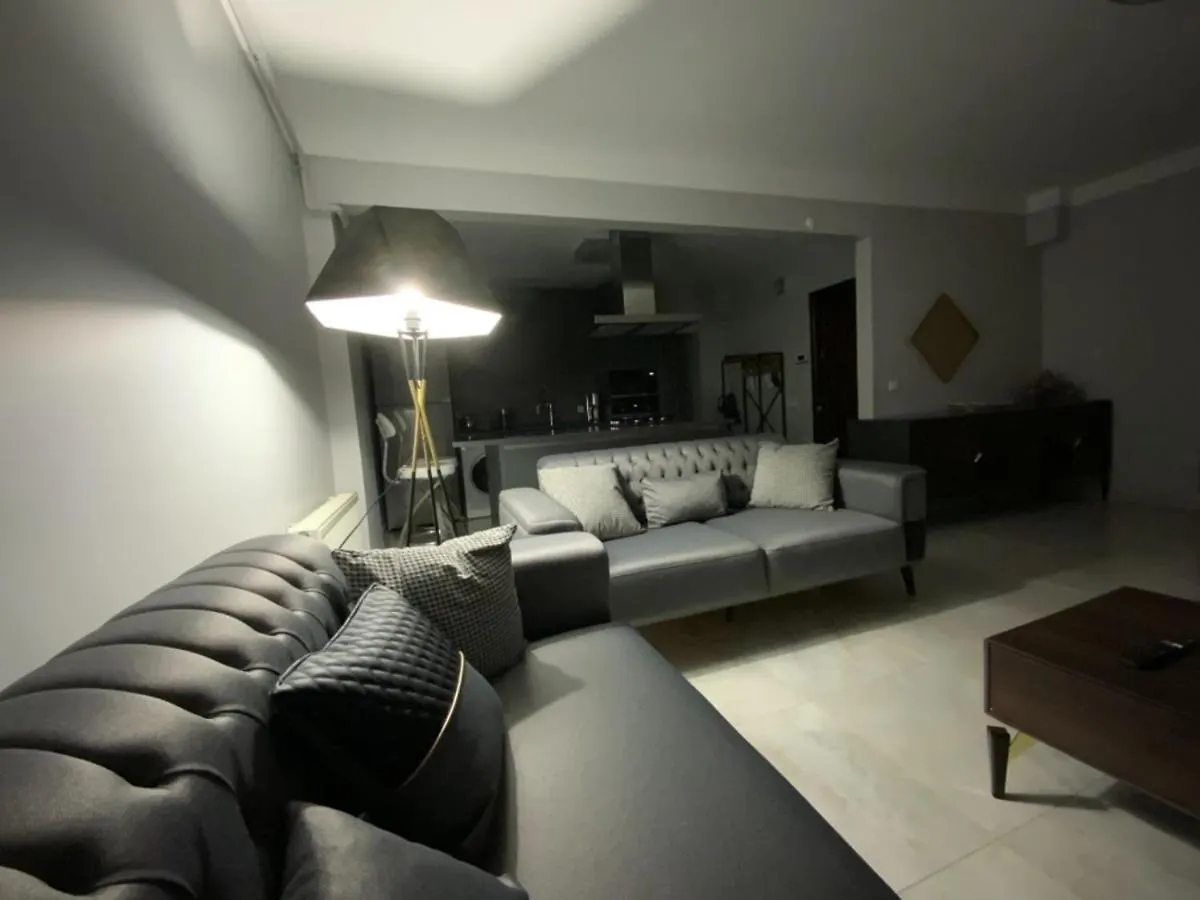 Daire Luxury Z-Apart Family Homes 2 Bedrooms Wifi Near Metro Zeytinburnu İstanbul