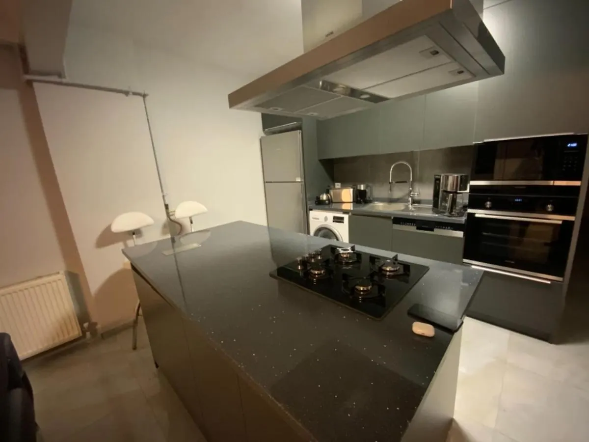 Luxury Z-Apart Family Homes 2 Bedrooms Wifi Near Metro Zeytinburnu İstanbul 0*,